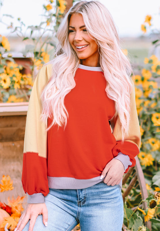 Color Block Round Neck Long Sleeve Sweatshirt